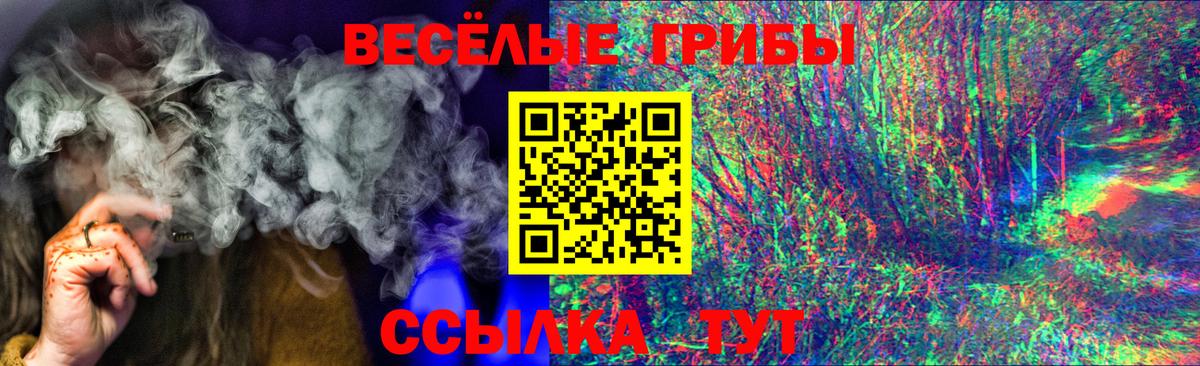 Большой Камень  Псилоцибиновые грибы Cubensis  Псилоцибиновые грибы Cubensis  Вход с VPN 